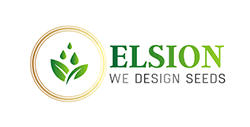 Elsion logo