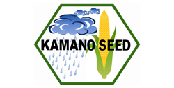 Kamano Seed_logo