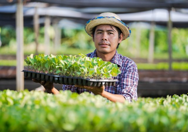 pexels-photo-4530783